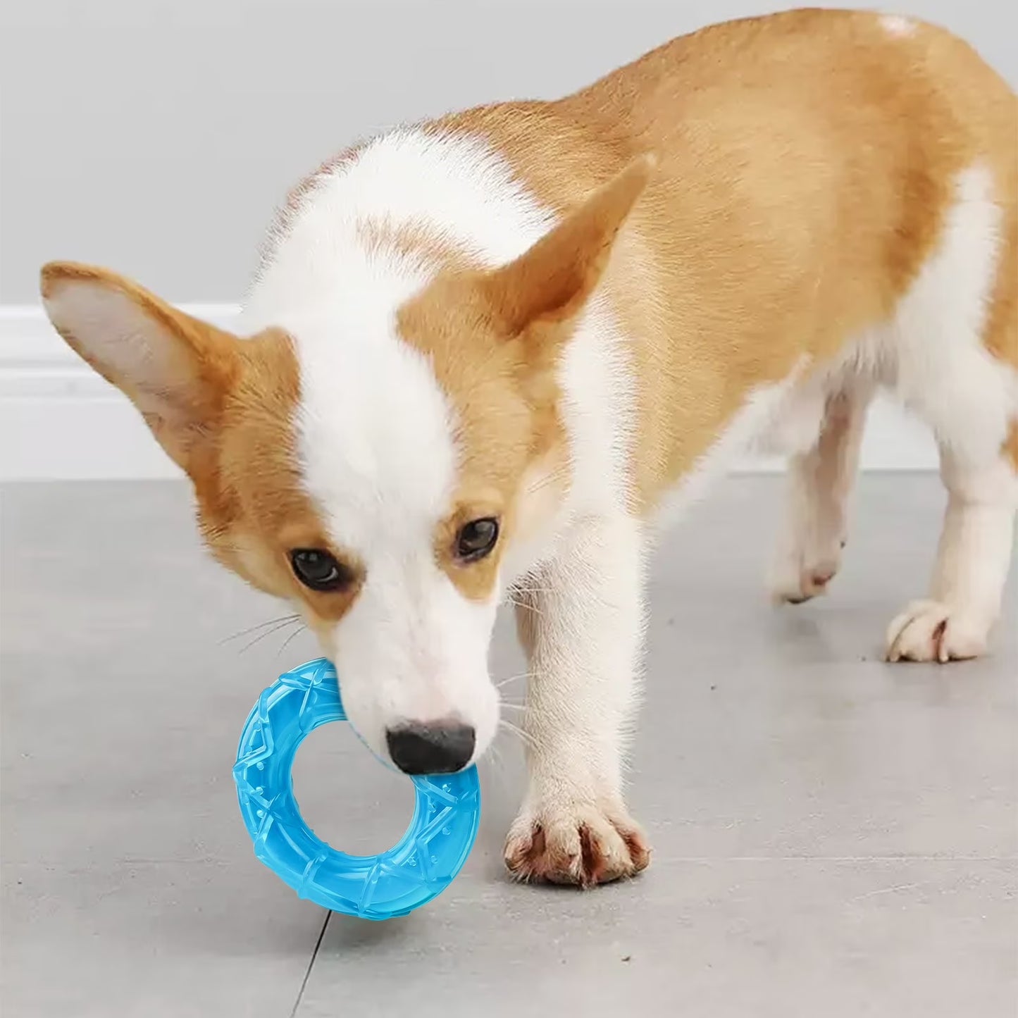 Pet Pet Toy Molars Chew Fruit