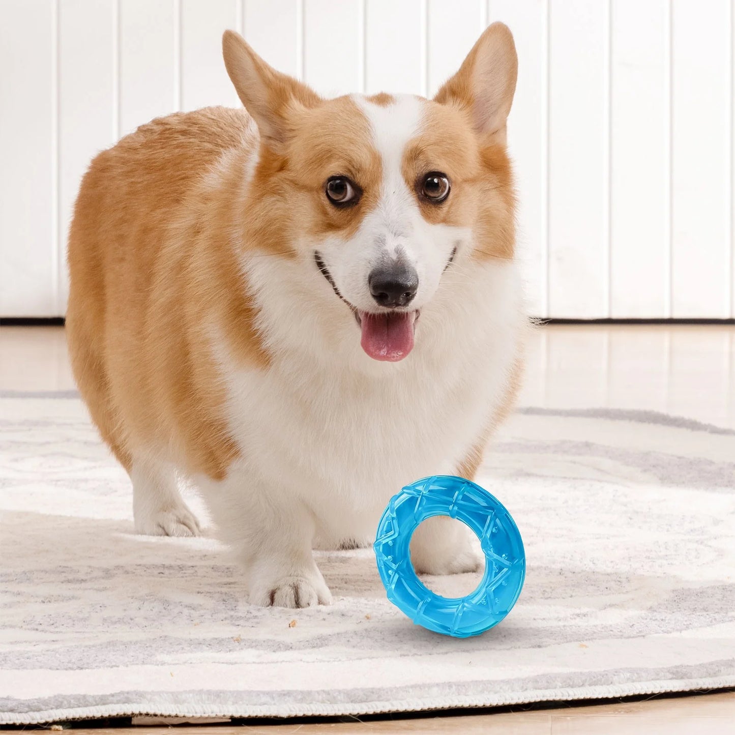 Pet Pet Toy Molars Chew Fruit